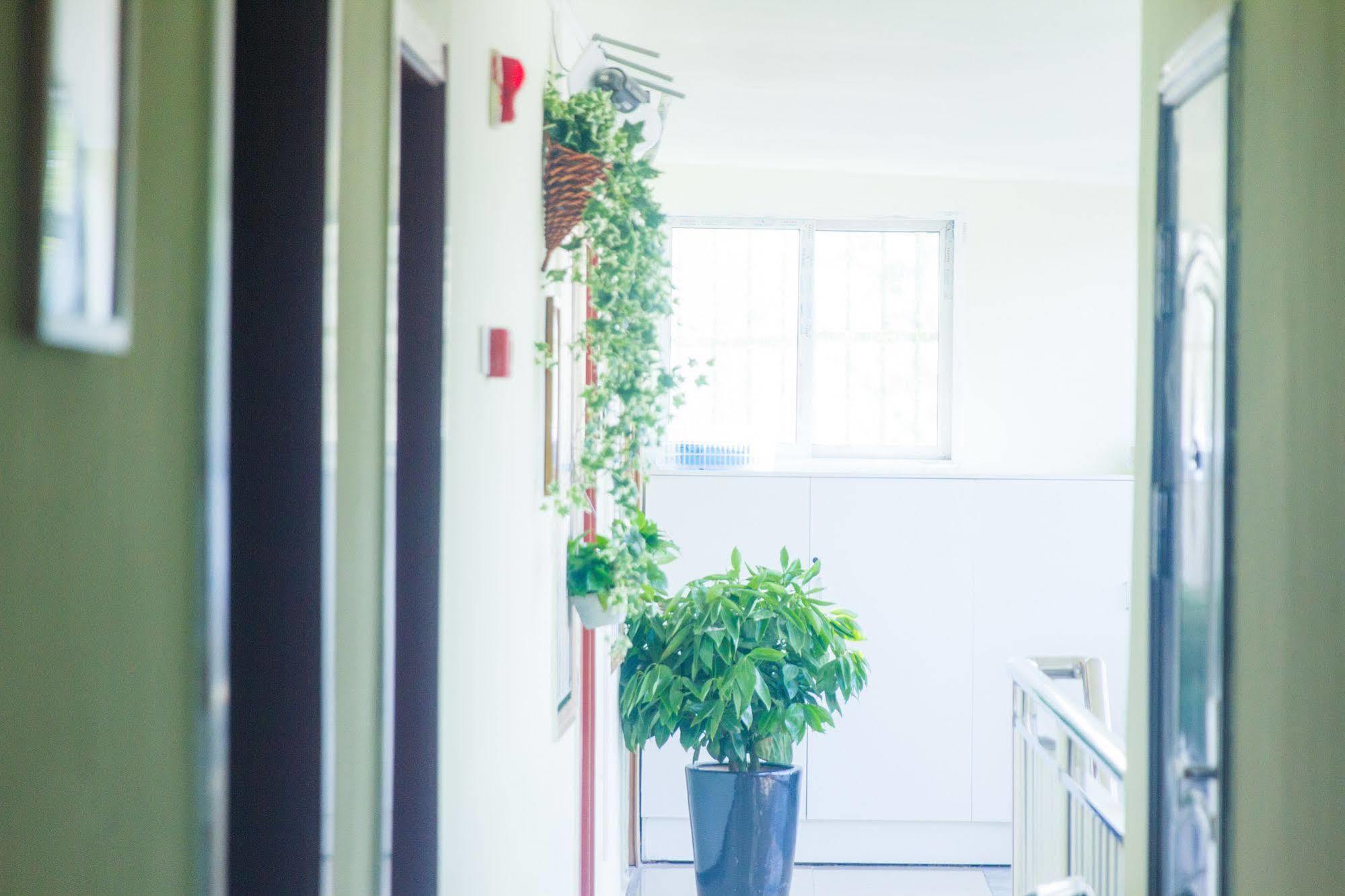Beijing Alley International Youth Hostel מראה חיצוני תמונה